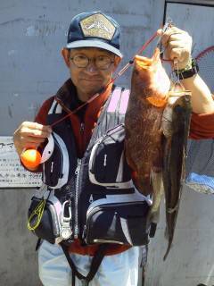 アイナメにアコウ、シラサで根魚！旧の赤灯台…