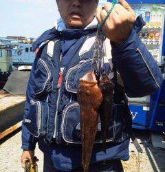 岸和田一文字 ウキ釣りでアコウ＆チヌ