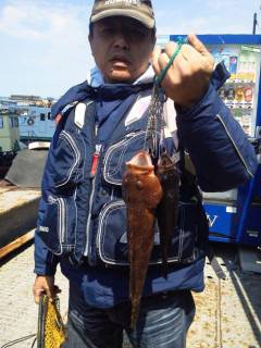 岸和田一文字 ウキ釣りでアコウ＆チヌ