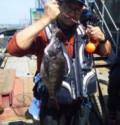 岸和田一文字 ウキ釣りでアコウ＆チヌ