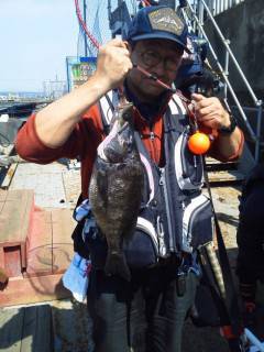 岸和田一文字 ウキ釣りでアコウ＆チヌ