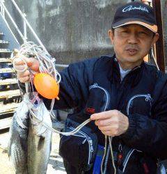 岸和田一文字 シラサのウキ釣りでチヌ＆ハネ