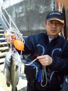 岸和田一文字 シラサのウキ釣りでチヌ＆ハネ