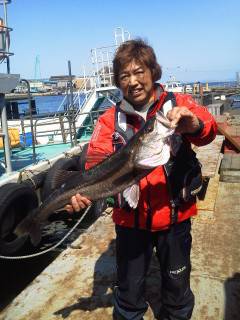 渡船を使って浮き釣り、75cmのスズキが出…