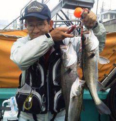 岸和田一文字　ウキ釣りでハネの釣果