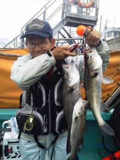 岸和田一文字　ウキ釣りでハネの釣果