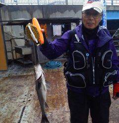 岸和田一文字　ウキ釣りでハネの釣果