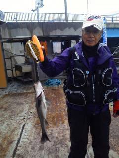 岸和田一文字　ウキ釣りでハネの釣果