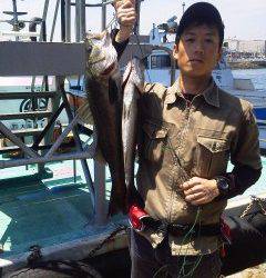 エビ撒き釣り、スズキ級が良く上がっています！