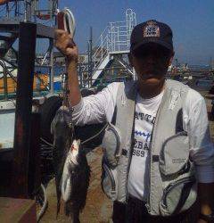 沖の北でチヌ、ナイスサイズ！エサはしらさ