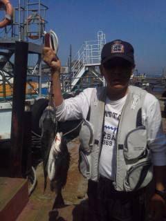 沖の北でチヌ、ナイスサイズ！エサはしらさ