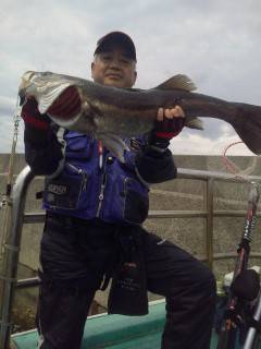 午前中の沖の一文字でスズキ77cmなどあが…