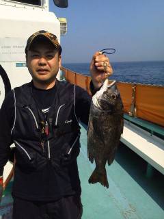 沖の一文字で落とし込み47センチを頭にチヌ…