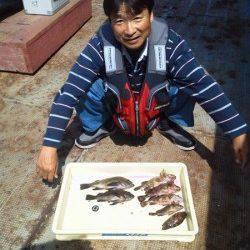 岸和田一文字　ウキ釣りでメバル〜25.4cm　他ガシラなど　シラサ使用