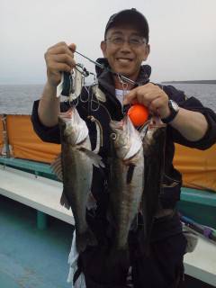 沖の一文字でウキ釣り・ハネの釣果