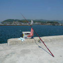 志筑 投げ釣りでキス〜18cm7匹、他テンコチ、タコ