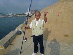 洲本　投げ釣りでキス10匹　赤潮も無く釣り日より