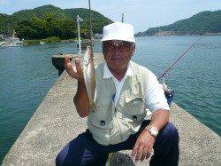 津居山漁港小島岸壁へ良型キス狙い釣行！
