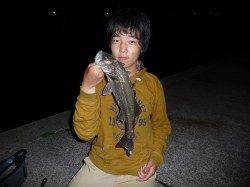 シーバスのボイルの連発！HITパターンはスローにただ巻き