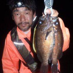 満月大潮の明るい夜、良型メバルGET