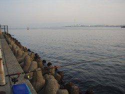 大阪南港 エビ撒きでセイゴ3匹&キビレ2匹