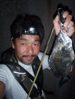 南港へチニング、メバリングタックルを使用したSLK!