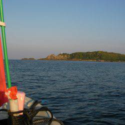 かかり釣りリベンジ、グレやハゲ他