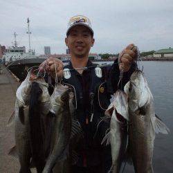 泉大津エビ撒き釣り、午前10時頃からアタリ連発！