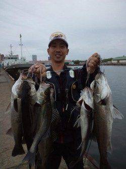 泉大津エビ撒き釣り、午前10時頃からアタリ連発！