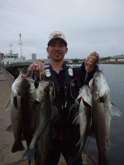 泉大津エビ撒き釣り、午前10時頃からアタリ…