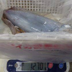 森の鼻でヤエン釣り、まあまあのサイズでびっくりしました