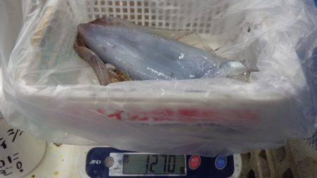 森の鼻でヤエン釣り、まあまあのサイズでびっ…