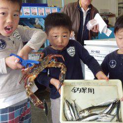 堺漁港 サビキでアジ・マイワシ・サバ　カニのオマケも