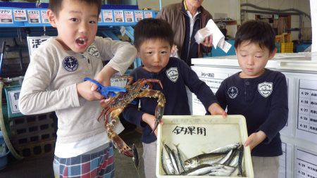 堺漁港 サビキでアジ・マイワシ・サバ　カニ…
