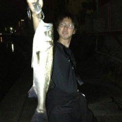 紀ノ川河口、渋い日でしたがシーバス★