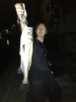 紀ノ川河口、渋い日でしたがシーバス★