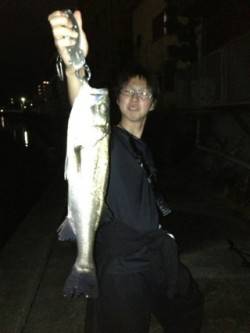 紀ノ川河口、渋い日でしたがシーバス★