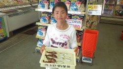 田辺大浜でサビキ釣り〜アジ・ガシラetc〜