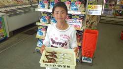 田辺大浜でサビキ釣り〜アジ・ガシラetc〜…