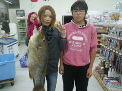 椿地磯　エギングにタマミ72cm5kgの嬉…