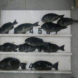 口和深　フカセでグレ〜35cm11尾