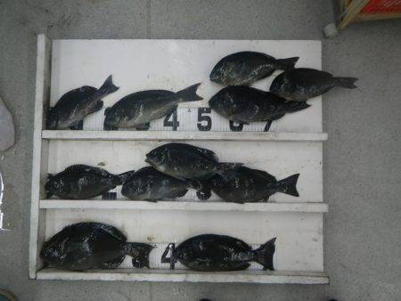 口和深　フカセでグレ〜35cm11尾