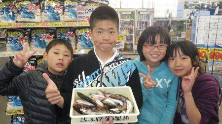 堺堤防 サビキでアジ・ガシラ・イワシなどお…