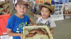 堺漁港　ガシラ・イガミなどのキッズ釣果