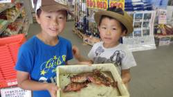 堺漁港　ガシラ・イガミなどのキッズ釣果