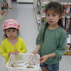 五色ケ浜 投げ釣りでキスのキッズ釣果