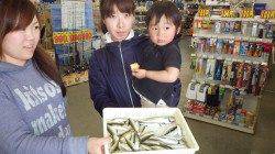 芳養堤防でのサビキ釣り、快釣です★