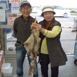 すさみ地磯 ヤエンでアオリイカ〜2.2kg4ハイ