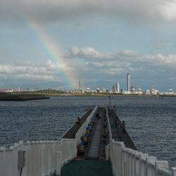 強風の中でもエビ撒きで… １日泉大津周辺RT