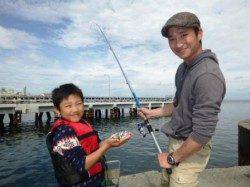 ★サビキ★食コン豆アジにマイワシも